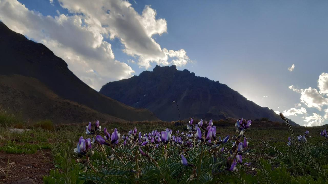 Hospedaje Lenas Del Tolosa Las Cuevas  Dış mekan fotoğraf