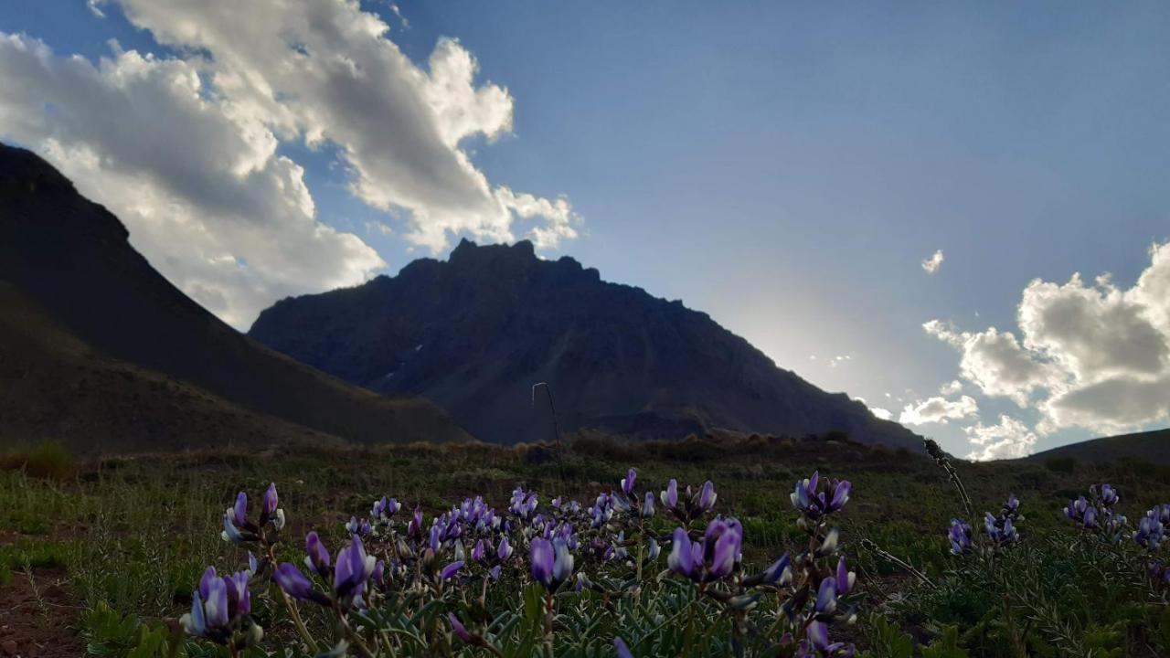 Hospedaje Lenas Del Tolosa Las Cuevas  Dış mekan fotoğraf